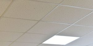 Ceiling Tiles Reviews and Installation Cost