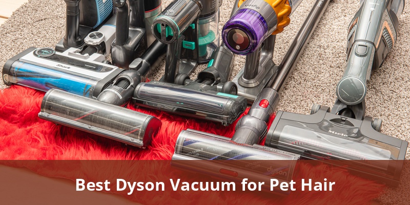 best-dyson-vacuum-for-pet-hair
