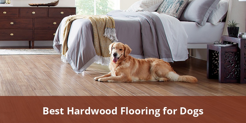 best-hardwood-flooring-for-dogs