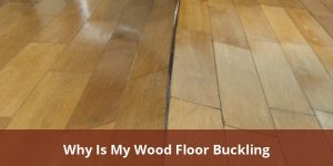 Why Is My Wood Floor Buckling? Comprehensive Guide To Causes, Repairs ...
